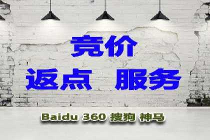 百度竞价托管公司案例分析：打造行业领军企业